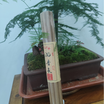 沉香灸（通络，安神补阳）
